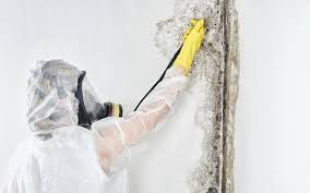 Forensic Mold Investigation in Gregory, TX